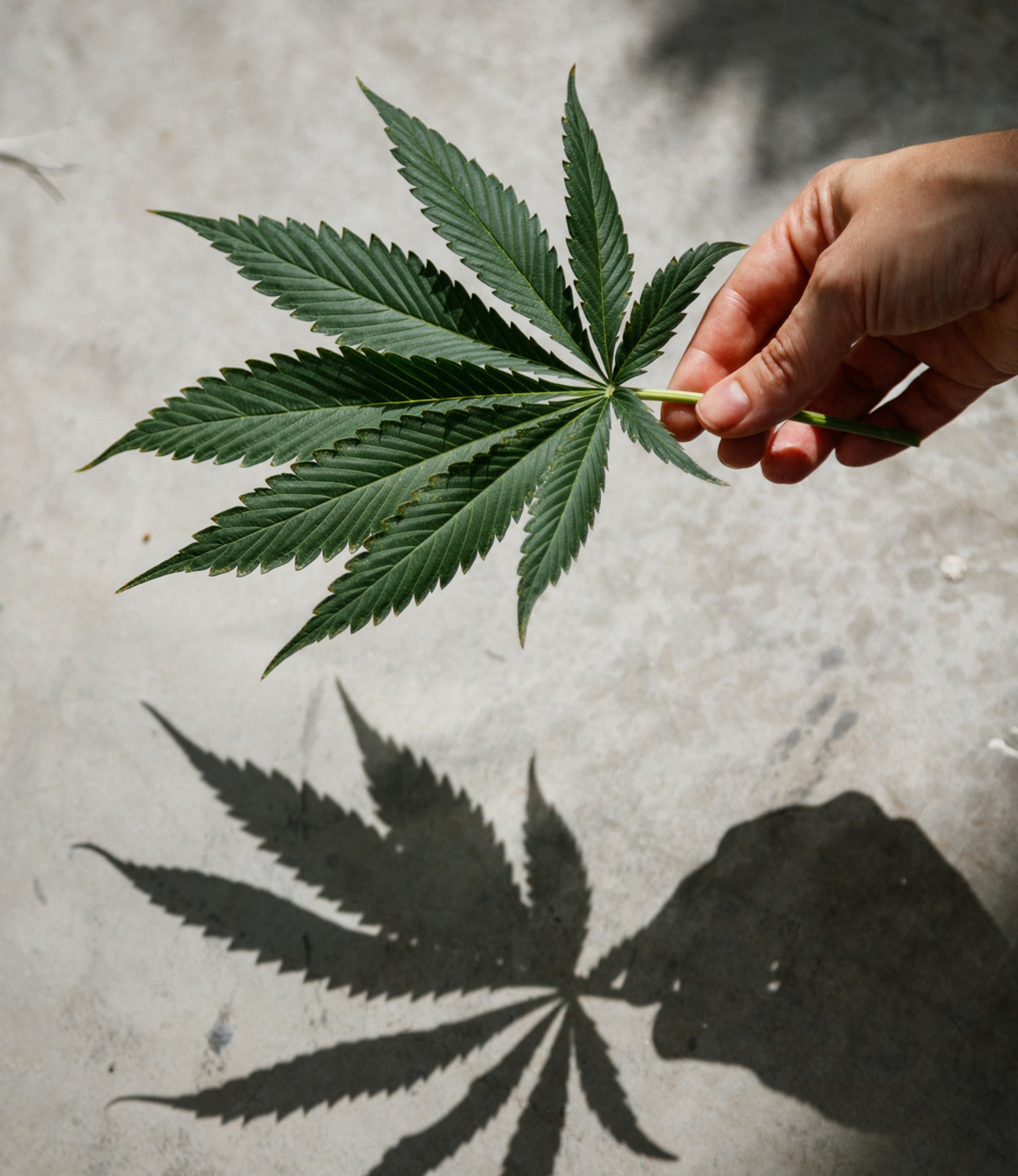 Pure Sunfarms Cannabis Strain Reviews