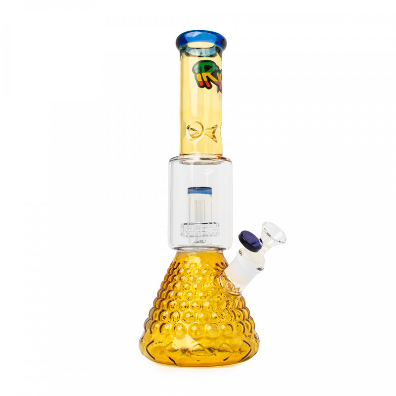 golden honey and blue dual chamber bong with perc in hamilton