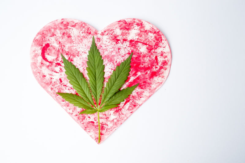 Valentine’s Day Gift Ideas to Please Every Type of Stoner